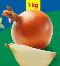 Lidl Bio Zwiebeln Angebot