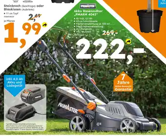 Globus Baumarkt PRIMASTER Akku Rasenmäher ,,PMARM 4043" Angebot