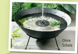 Lidl Livarno Home Solar-Springbrunnen Angebot