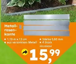 Globus Baumarkt Metallrasenkante Angebot