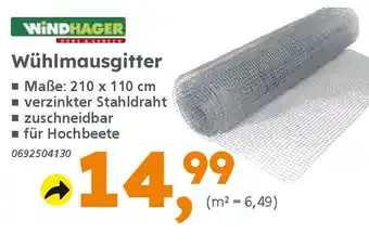 Globus Baumarkt WINDHAGER Wühlmausgitter Angebot