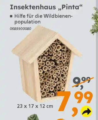 Globus Baumarkt Insektenhaus „Pinta❝ Angebot