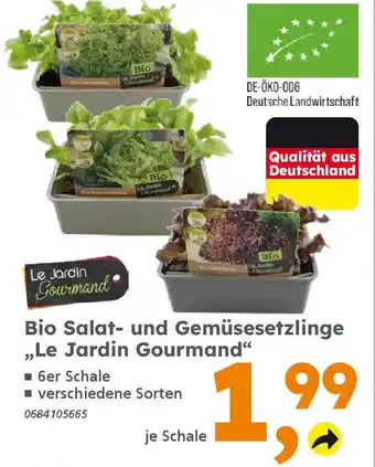 Globus Baumarkt Bio Salat- und Gemüsesetzlinge „Le Jardin Gourmand" Angebot