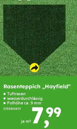 Globus Baumarkt Rasenteppich „Hayfield" Angebot