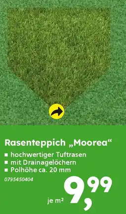 Globus Baumarkt Rasenteppich „Moorea" Angebot