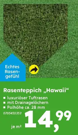 Globus Baumarkt Rasenteppich,,Hawaii" Angebot