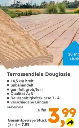 Globus Baumarkt Terrassendiele Douglasie Angebot