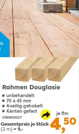 Globus Baumarkt Rahmen Douglasie Angebot