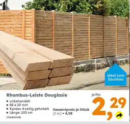 Globus Baumarkt Rhombus-Leiste Douglasie Angebot