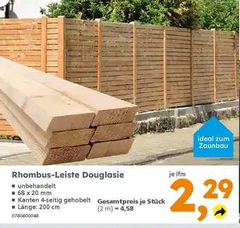 Globus Baumarkt Rhombus-Leiste Douglasie Angebot