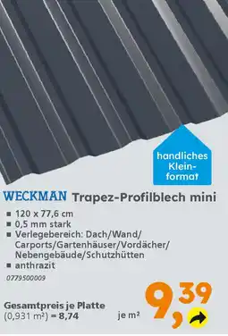 Globus Baumarkt WECKMAN Trapez-Profilblech mini Angebot