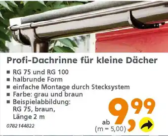 Globus Baumarkt Profi-Dachrinne für kleine Dächer Angebot