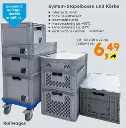 Globus Baumarkt System-Stapelboxen und Körbe Angebot