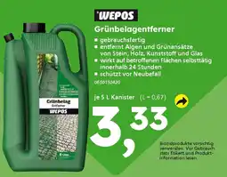 Globus Baumarkt WEPOS Grünbelagentferner Angebot