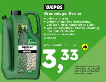 Globus Baumarkt WEPOS Grünbelagentferner Angebot