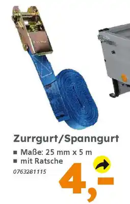 Globus Baumarkt Zurrgurt/Spanngurt Angebot