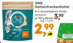 Globus Baumarkt ONE Katzentrockenfutter Angebot