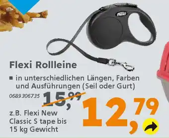 Globus Baumarkt Flexi Rollleine Angebot