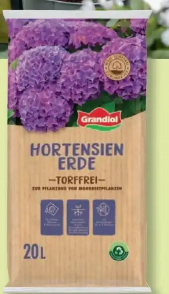 Lidl Grandiol Hortensienerde torffrei Angebot