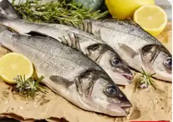 Edeka Landauer Fischmarkt Kissel Wolfsbarsch Angebot