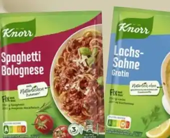 Edeka Knorr Fix Spaghetti Bolognese Angebot