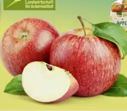 Edeka Edeka Bio Äpfel Braeburn Angebot