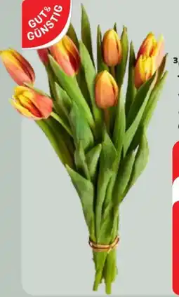 Edeka Gut & Günstig Tulpenstrauß Angebot