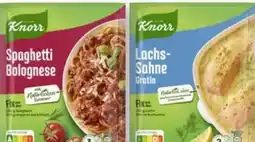 Scheck-in-Center Knorr Fix Spaghetti Bolognese Angebot