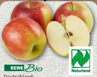 nahkauf Rewe Bio Tafeläpfel Angebot