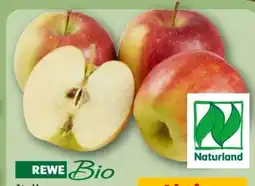 REWE Center Rewe Bio Tafeläpfel Angebot