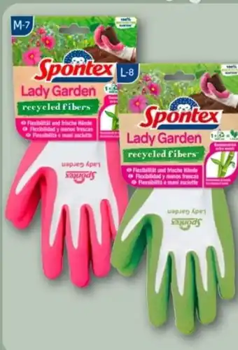 REWE Center Spontex Gartenhandschuh Lady Garden Angebot