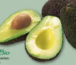 REWE Center Rewe Bio Avocado Angebot