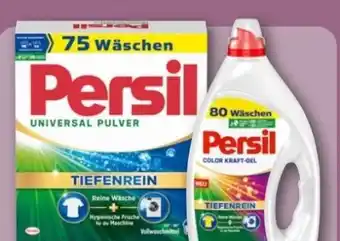 REWE Center Persil Universal Pulver Angebot