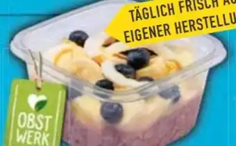 E-Center Obstwerk Overnight Oats Angebot