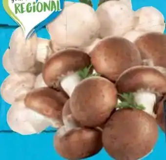 E-Center Champignons Angebot