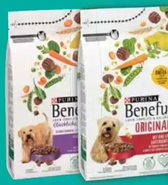 E-Center Purina Beneful Hundenahrung Angebot