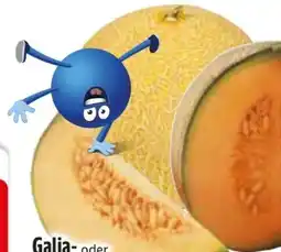 Edeka Galiamelone Angebot