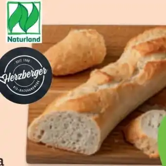 tegut Herzberger Bäckerei Bio-Familienbaguette Angebot