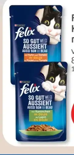 Budni Purina Felix Katzennahrung Angebot