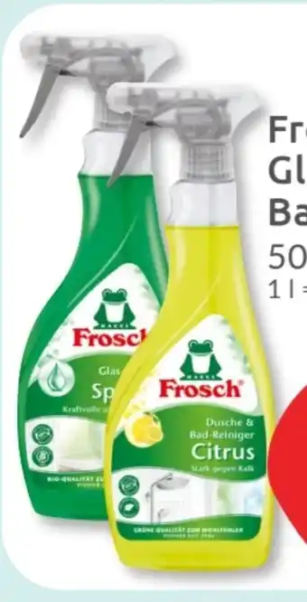 Budni Frosch Glas-Reiniger Angebot