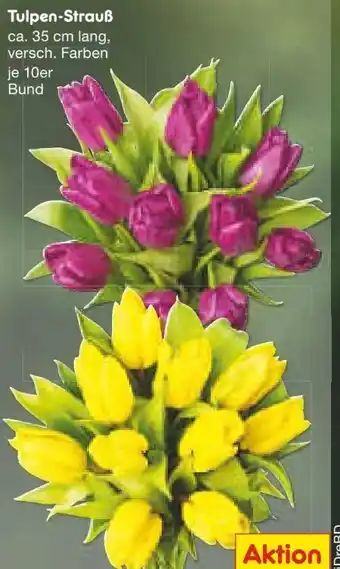 Netto Marken-Discount Tulpen-Strauß Angebot