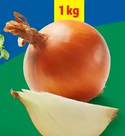 Lidl Bio Zwiebeln Angebot