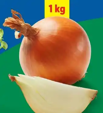 Lidl Bio Zwiebeln Angebot