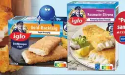 Edeka Iglo Filegro Angebot