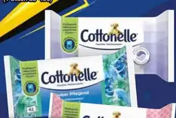 EDEKA Bandelt Cottonelle Feuchtes Toilettenpapier Angebot