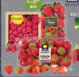 Edeka Edeka Herzstücke Erdbeeren Angebot