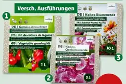 PENNY Romberg Anzucht-Set Angebot