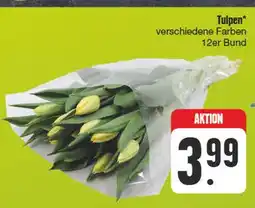 Edeka Tulpen Angebot