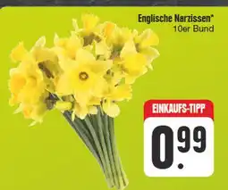 Edeka Englische narzissen Angebot