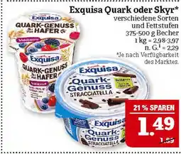 Marktkauf Exquisa quark oder skyr Angebot